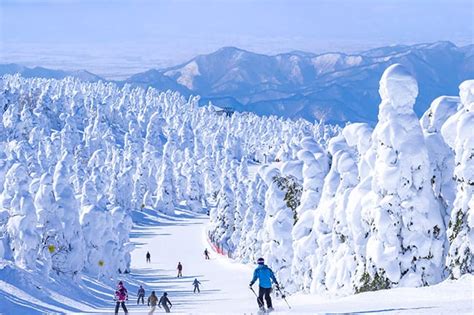 Tohoku Itinerary | Tokyo Tower, Zao, Sendai & Ginzan Onsen