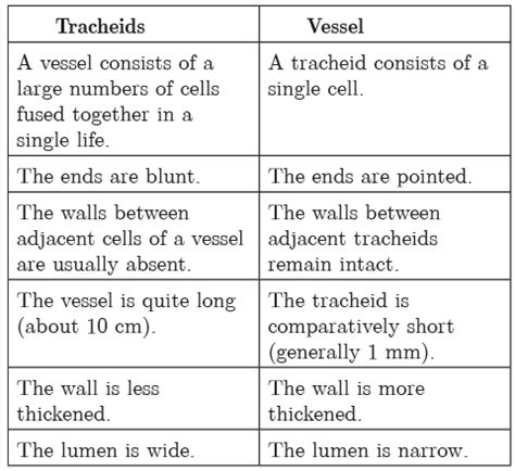 Class 9 Science Chapter 6 Question Answers - Tissues