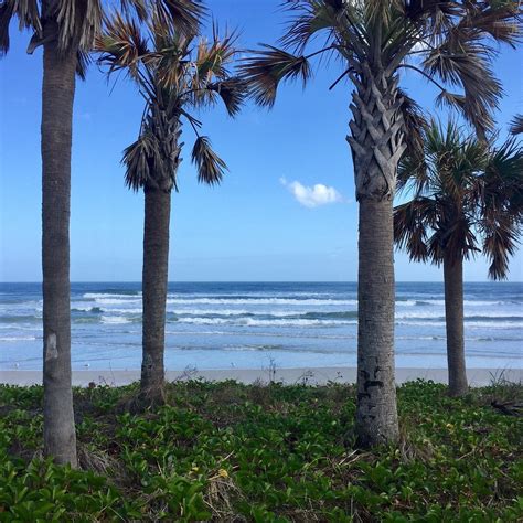 ANDY ROMANO BEACHFRONT PARK (Ormond Beach): Ce qu'il faut savoir pour ...