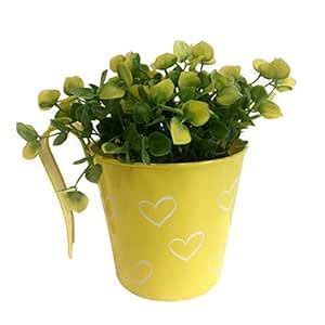ELAN Hearts Planter for Balcony, Railing Pot, Durable Metal (Single ...