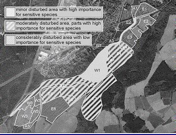 Structural Mapping 的图像结果