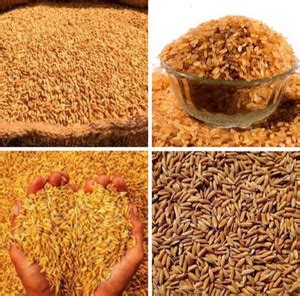 ns tamizhi matta rice seeds red rice seeds Seed Price in India - Buy ns ...