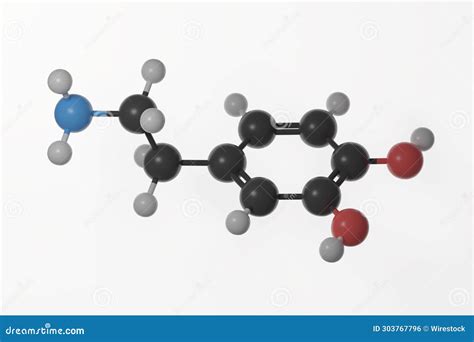 Ball and Stick Model of Dopamine Molecule with Double Bonds Shown Stock ...