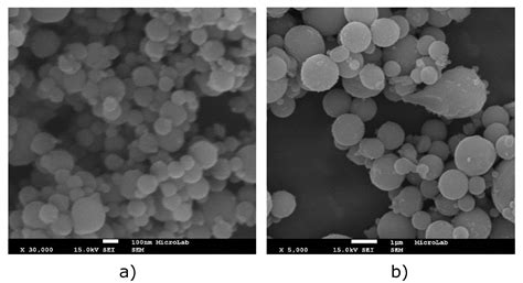 The Addition of Particles to an Alternative Jet Fuel