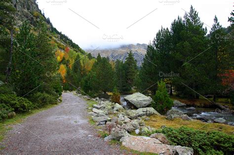 Path 的图像结果