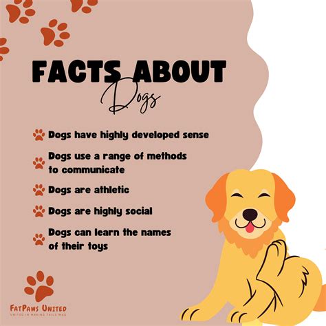 10 interesting facts about dogs – Artofit