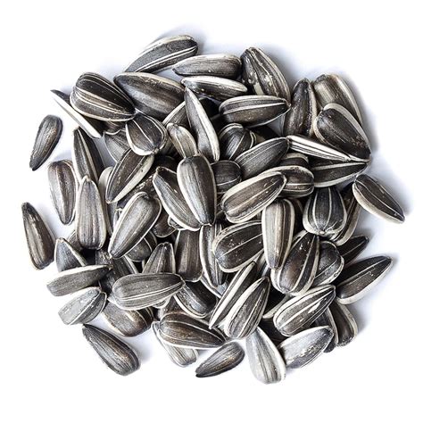 Sunflower Seeds in Shell Buy in Bulk from Food to Live