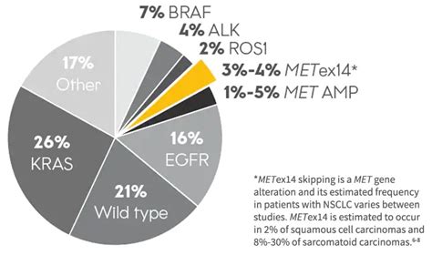 MET Exon 14 Skipping in NSCLC | TEPMETKO® (tepotinib) HCP