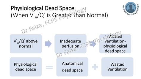 Ventilation Perfusion Ratio, Physiological dead space and physiological ...