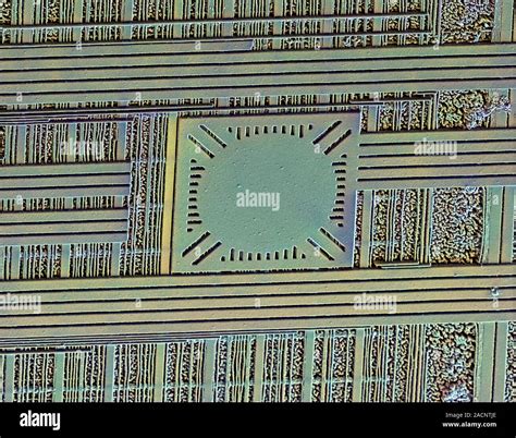 Image result for Microchip Microscope