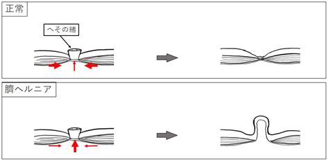 Image result for Spatial Memory Localization