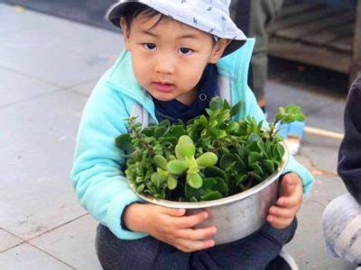 Image result for First Learning 50 Learning Blocks