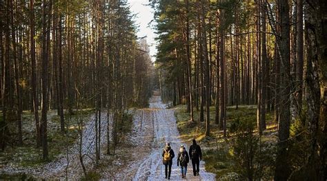 Visaginas Tourism (2023): Best of Visaginas, Lithuania - Tripadvisor