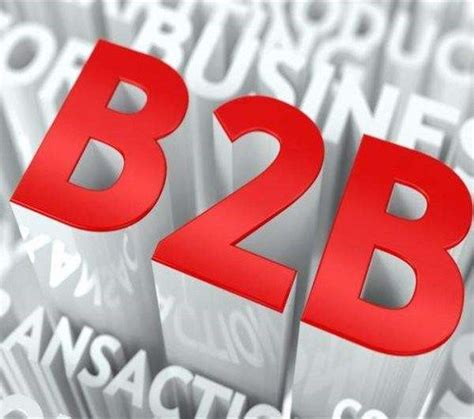 b2b电子商务模式有哪些？中国b2b电子商务平台介绍-三个皮匠报告
