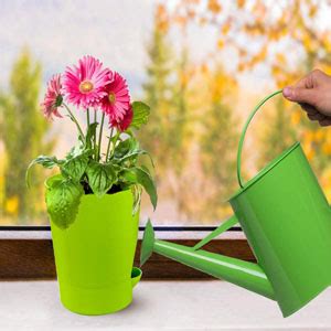OshiGreens self Watering pots, 4 Pack 5.5 unch Yellow Table top pots ...