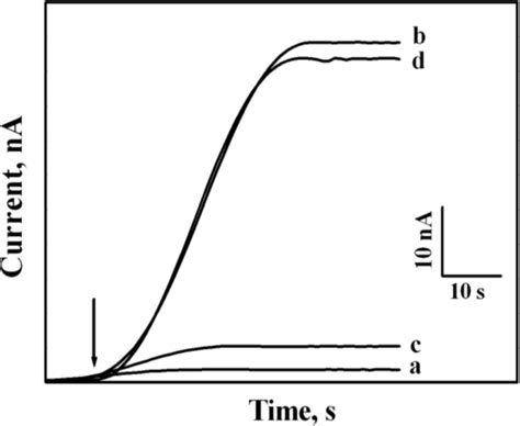 Sensors | Special Issue : Glucose Sensors