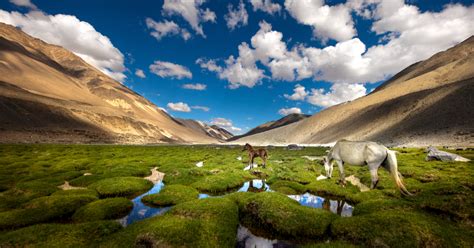 Best Places to Visit in Summer Apart from Kashmir