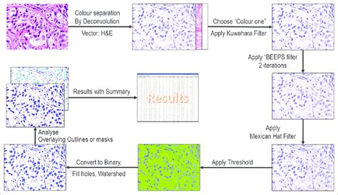 Image result for Processing Box in Algorithm
