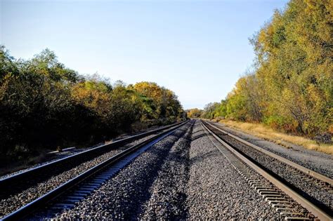 Railroad tracks amidst autumn trees on sunny day | Premium Photo
