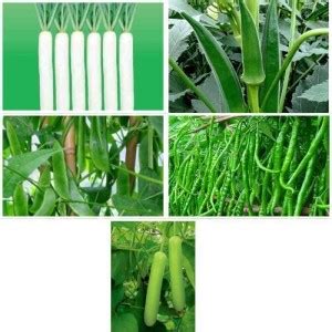 LiveNature Vegetable Seed | Long Radish, Green Mirchi, Sem Phali ...