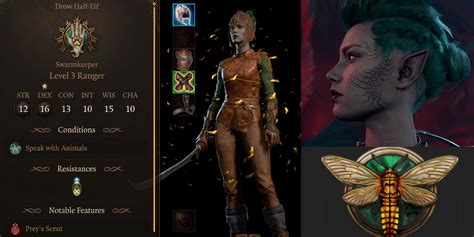 Baldur's Gate 3: Best Ranger Swarmkeeper Build