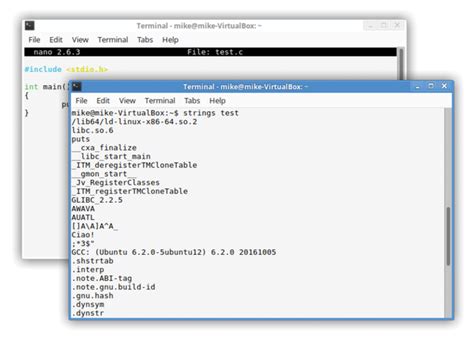Image result for How to Run an Elf Program in Linux
