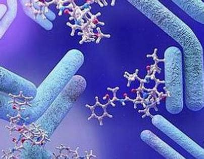 Image result for Astrocyte