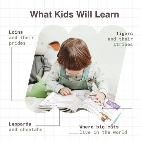 My Very First Big Cats Encyclopedia | Wildlife Book for Kids (Age 4+ Y ...
