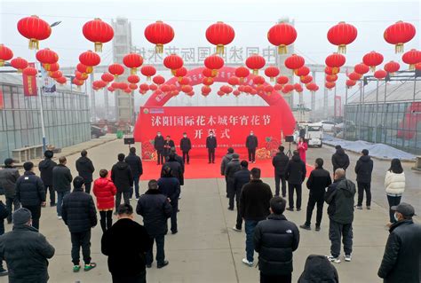 花木背景图片-花木背景素材下载-觅知网