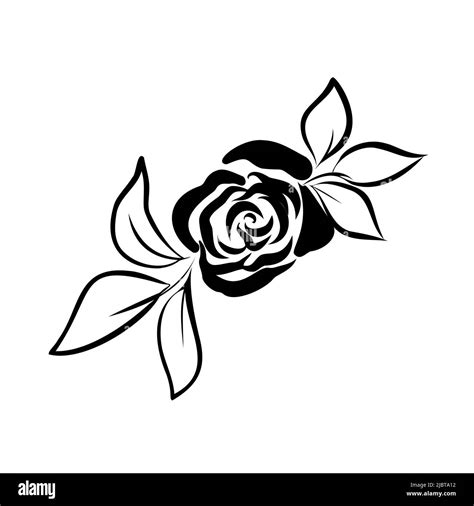 Image result for Use API in Code