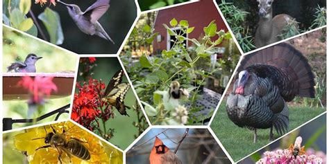 Bring More Life into Your Gardens!, 101 Ferry Road,Bristol,02809,US, 31 ...