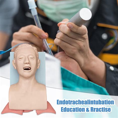 SFXYJ PVC Endotracheal Intubation Human Model - Tracheal India | Ubuy