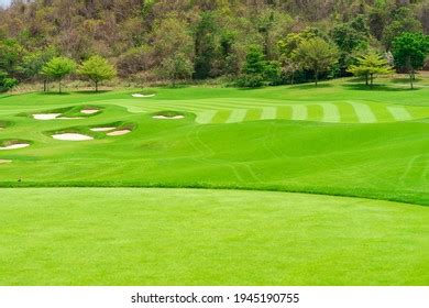 Golf Court 的图像结果