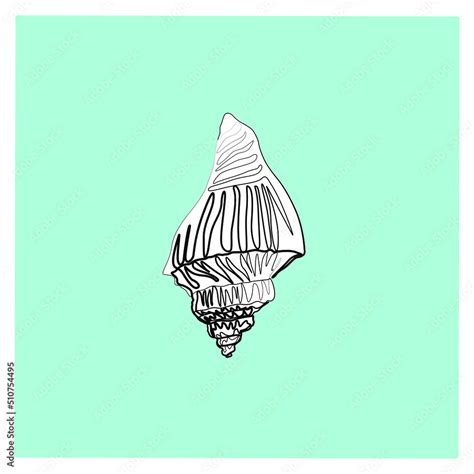 Image result for Open Sea Shell Line Drawing
