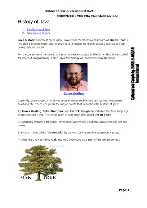 Image result for Who Created Java Computer