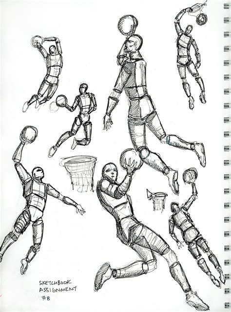 Basketball Drawing Reference 的图像结果