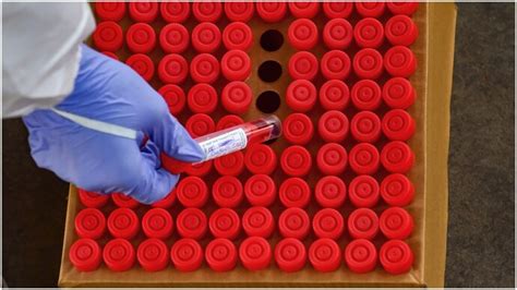 Maharashtra records 14,372 new Covid cases; No Omicron variant detected ...