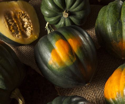 How to grow acorn squash - expert tips for a great crop | Homes and Gardens