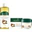 Buy Biotique Argan Hair Oil from Morocco Non Sticky Hair Oil , 200 ml ...