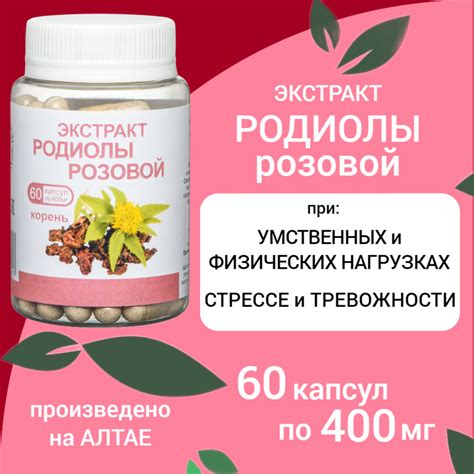 Экстракт Родиолы розовой (золотой корень) Олимед 60 капсул по 400 мг ...