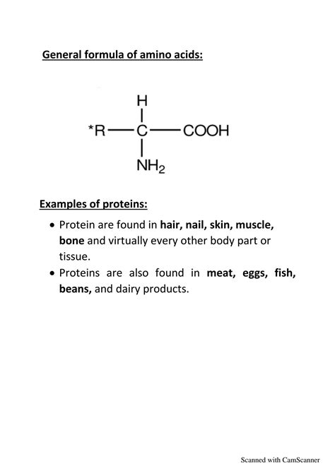Image result for Protein Classification