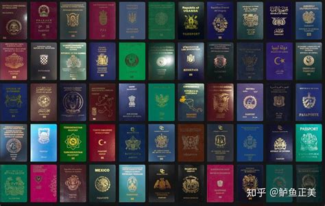在美国生孩子可以同时拿香港和美国护照吗？—美福嘉儿直营月子中心