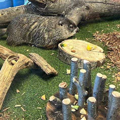 TURTLE BACK ZOO - All You Need to Know BEFORE You Go 2026 (with Photos ...