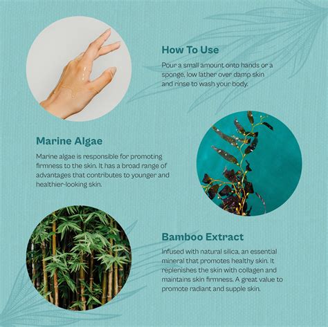 Buy Aqua Fresh Body Shower Gel For Smooth & Glowing Skin | Marine Alga ...