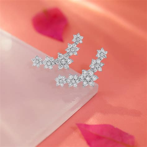 Elegant 925 Silver Earrings Collection