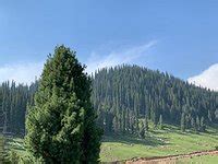 BUNGUS VALLEY - All You Need to Know BEFORE You Go 2026 (with Photos ...
