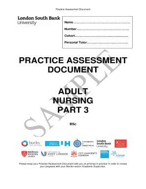 Practice Assessment Document Part 3 Example - Fill Online, Printable ...