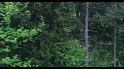 r34 call of duty & cod soap r34| Discover