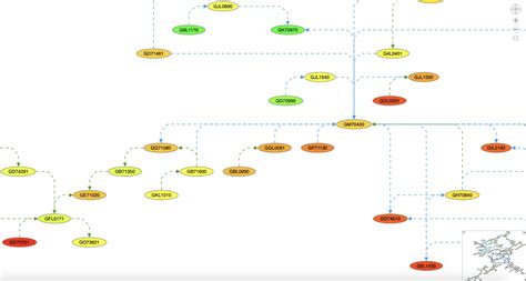Graph Network Visualization | Tom Sawyer Software
