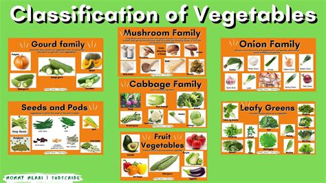 Vegetable Classification 的图像结果